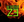Avatar for ezrider